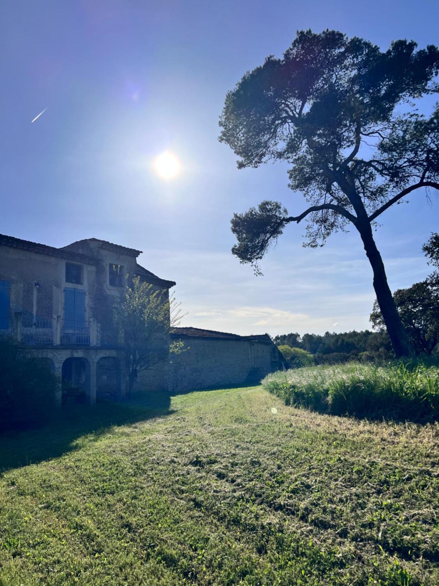 Le Mas Du Gentilhomme Chambre Lavande Orthoux-Sérignac-et-Quilhan Esterno foto
